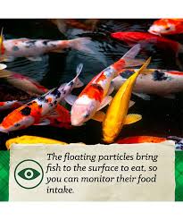 YEE High Quality Koi Food