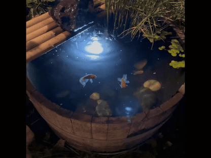 Solar Pond Spotlight Set